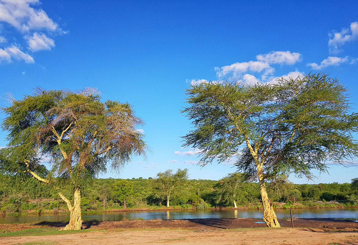 Letaba Camp Is Situated Right On The Banks Of The Letaba River