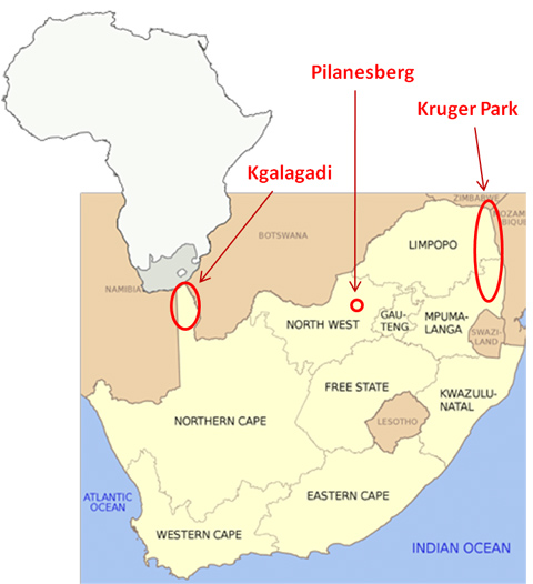 Kalahari South Africa