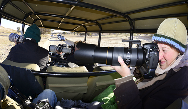 Nikon 80-400mm Review - 9 days in the Kgalagadi Park with this new