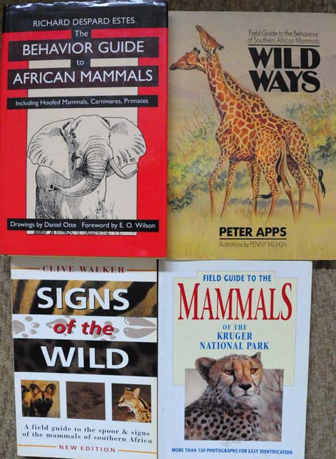 safari books alternative