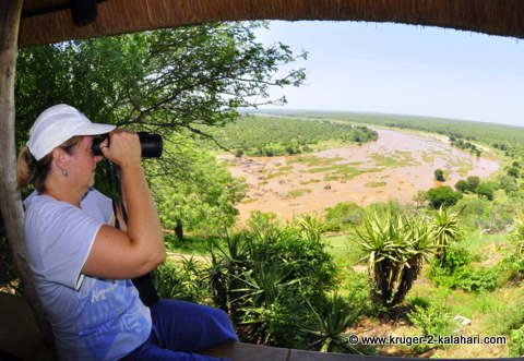 Kruger binoculars sales