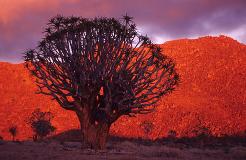 Sunrise, Richtersveld National Park, South Africa