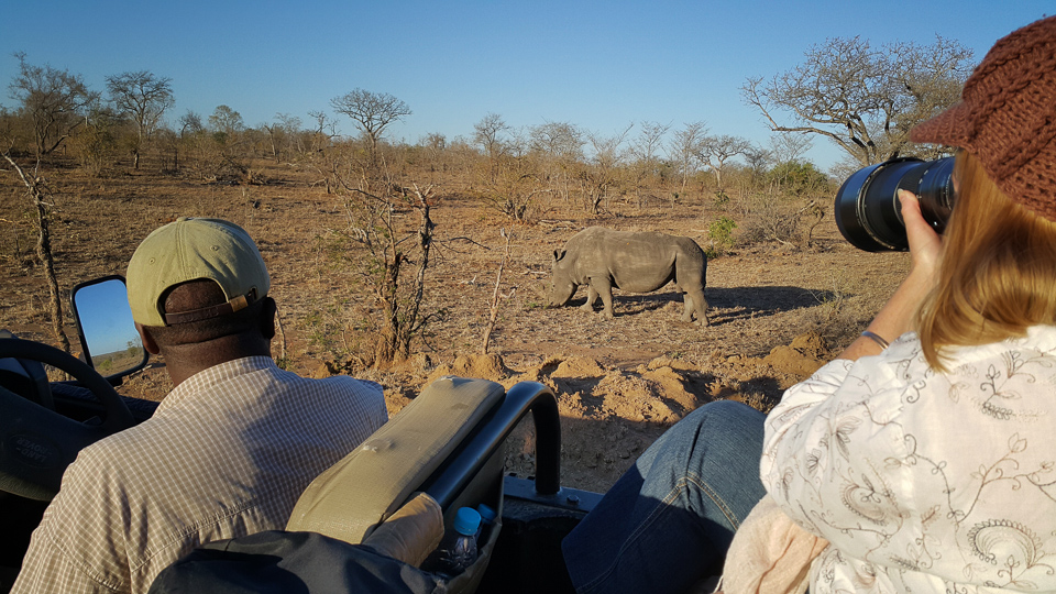 Buffelshoek Camp is a tented camp located in Manyeleti Game Reserve