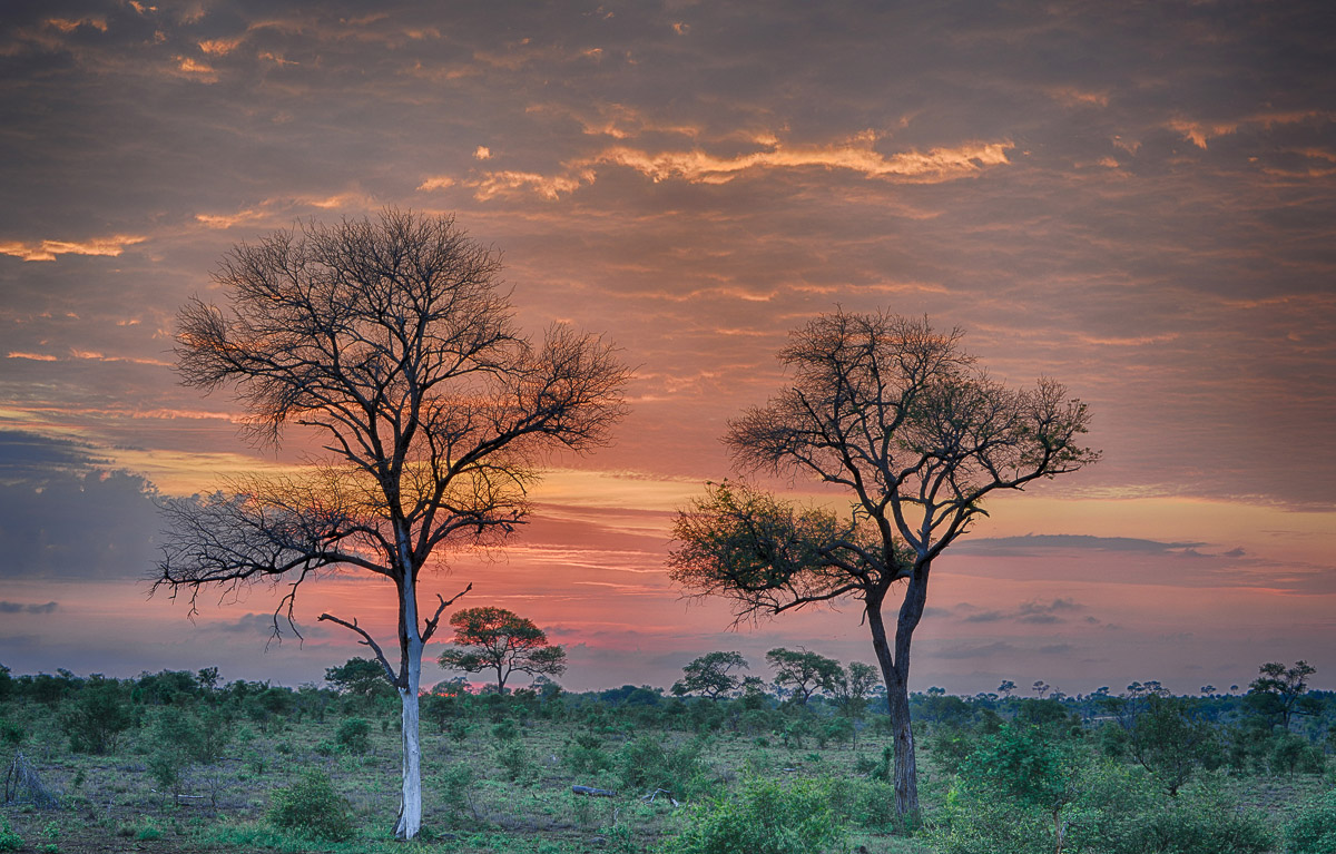 Kruger Park Sunrises And Sunsets, Beautiful Images Of A Beautiful Park