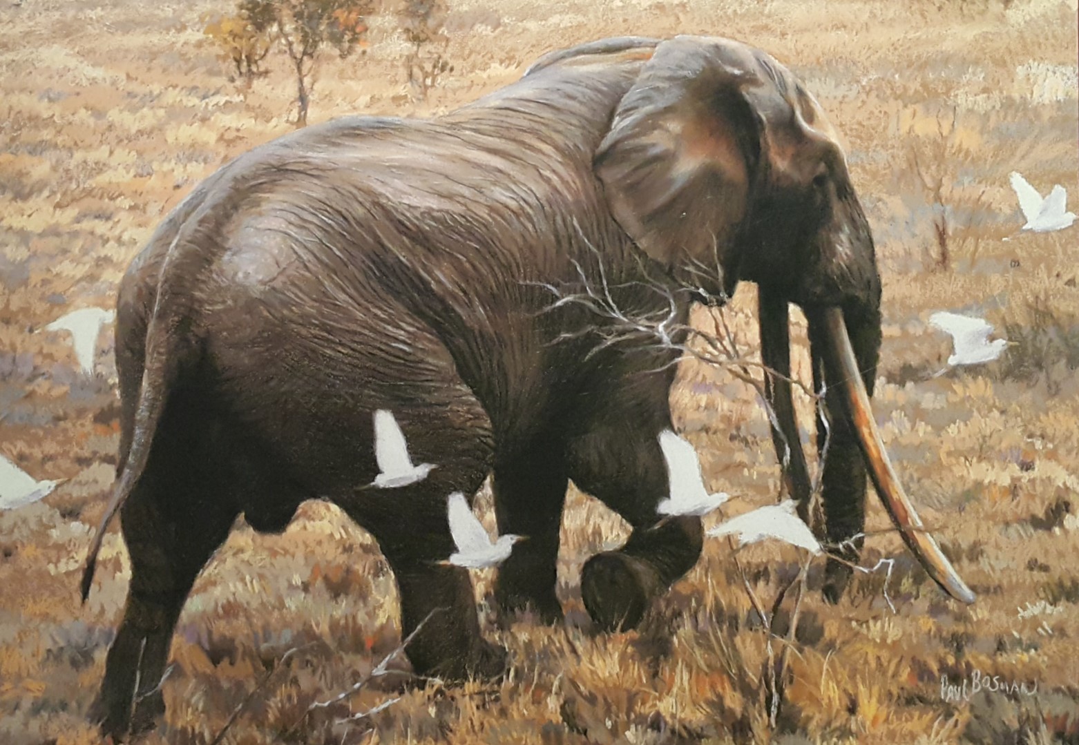 Our Favourite Moments with Big Bull Elephant Jabulani 🐘 26 Years
