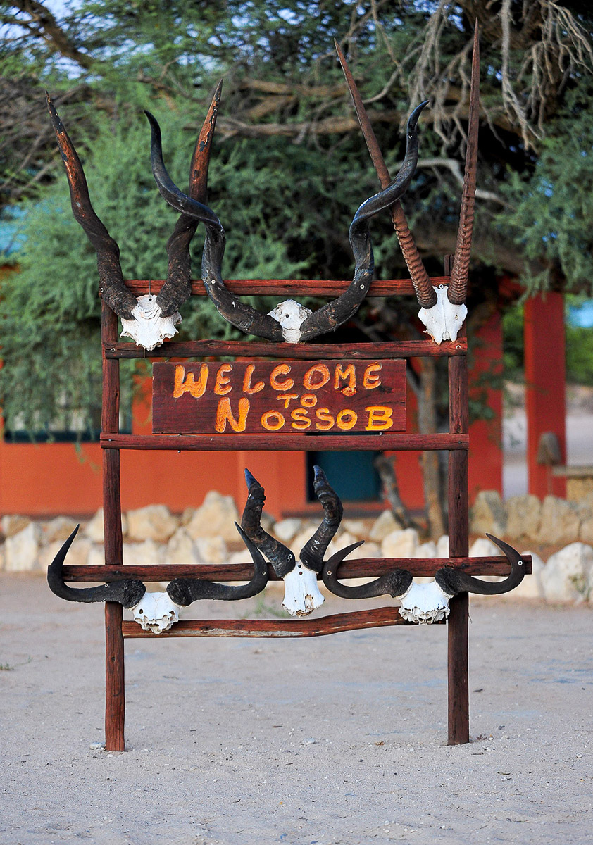 Nossob is one of three main camps in the Kgalagadi