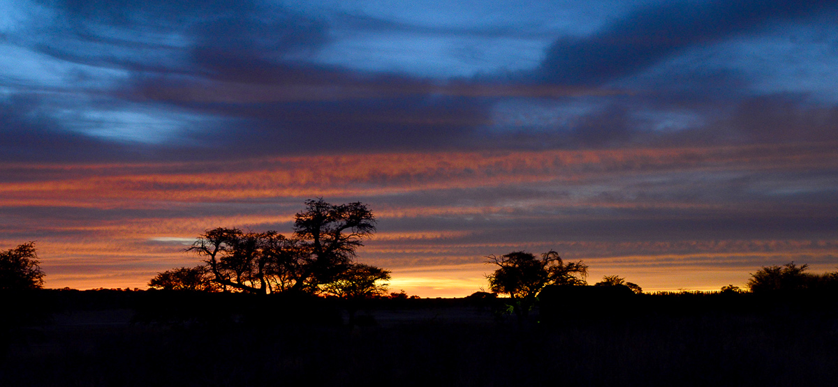 Nossob is one of three main camps in the Kgalagadi