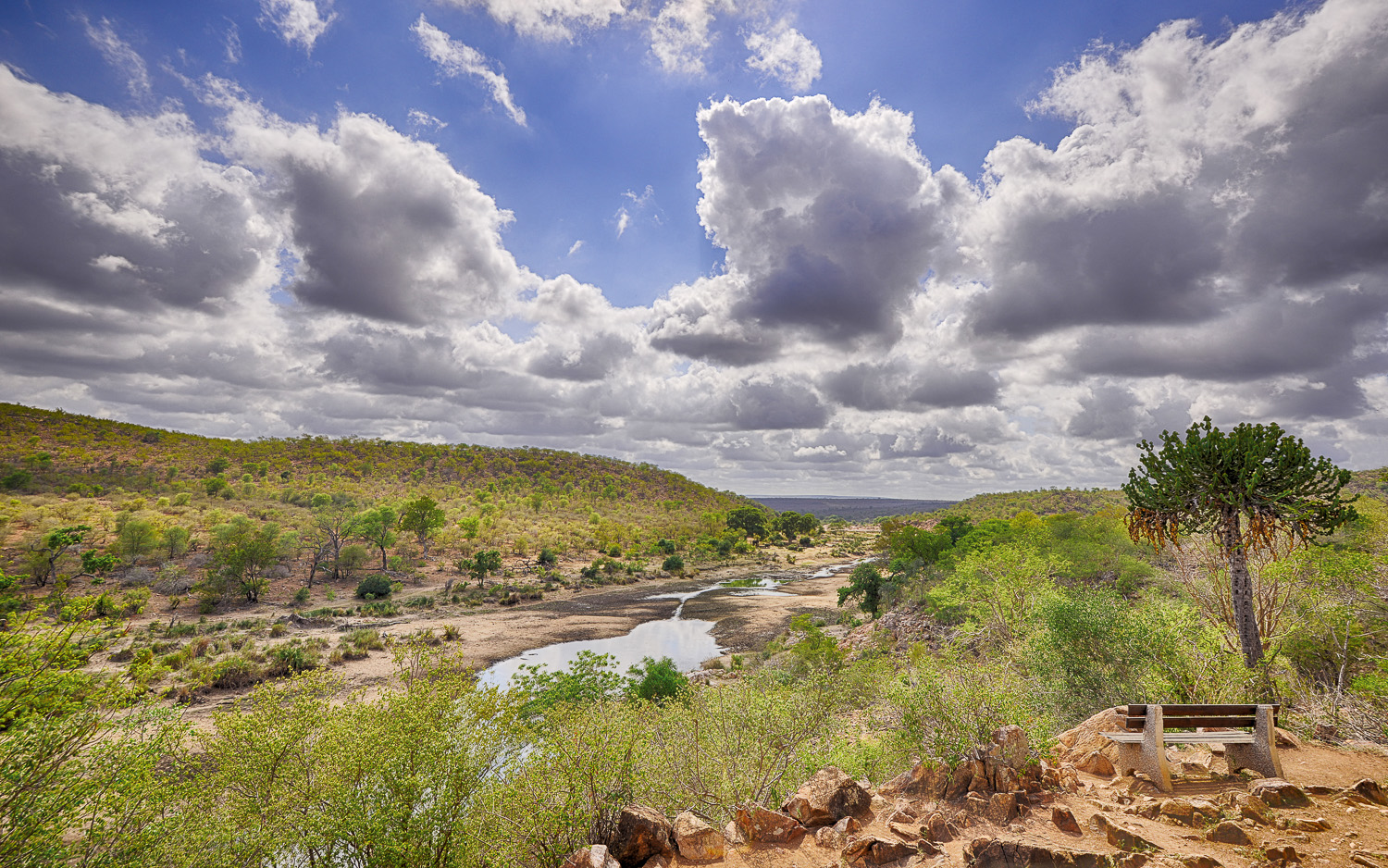 Landscapes Of The Kruger National Park Are Not Easy To Photograph!