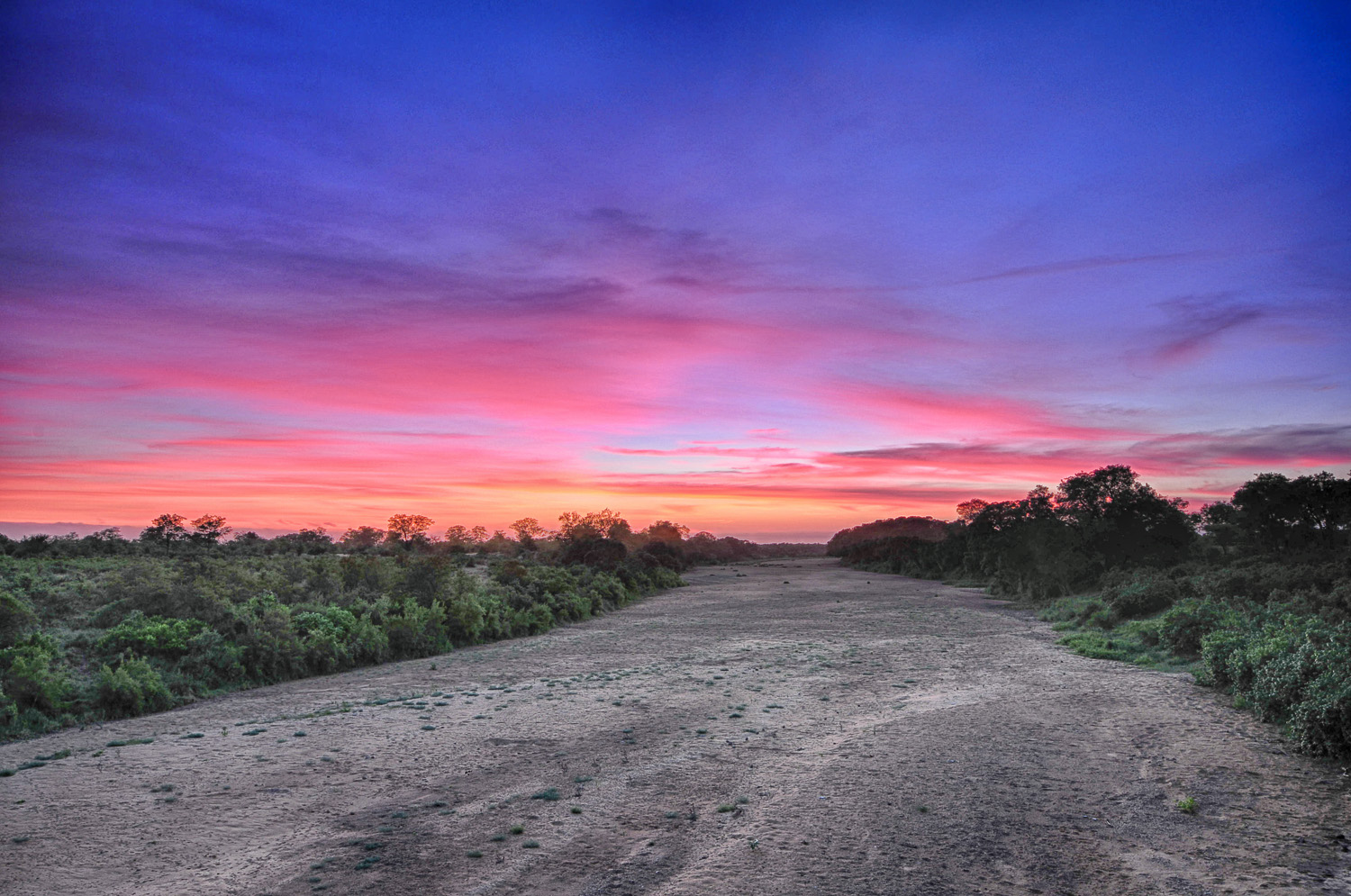 Shingwedzi is a rustic camp that is situated on the Shingwedzi River