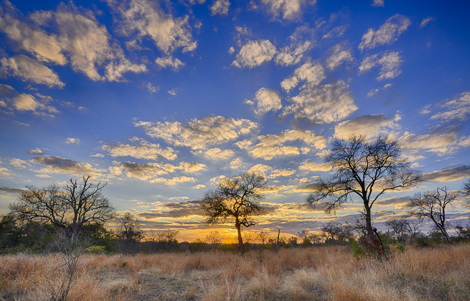 HDR Nature Photography - use these to get amazing safari