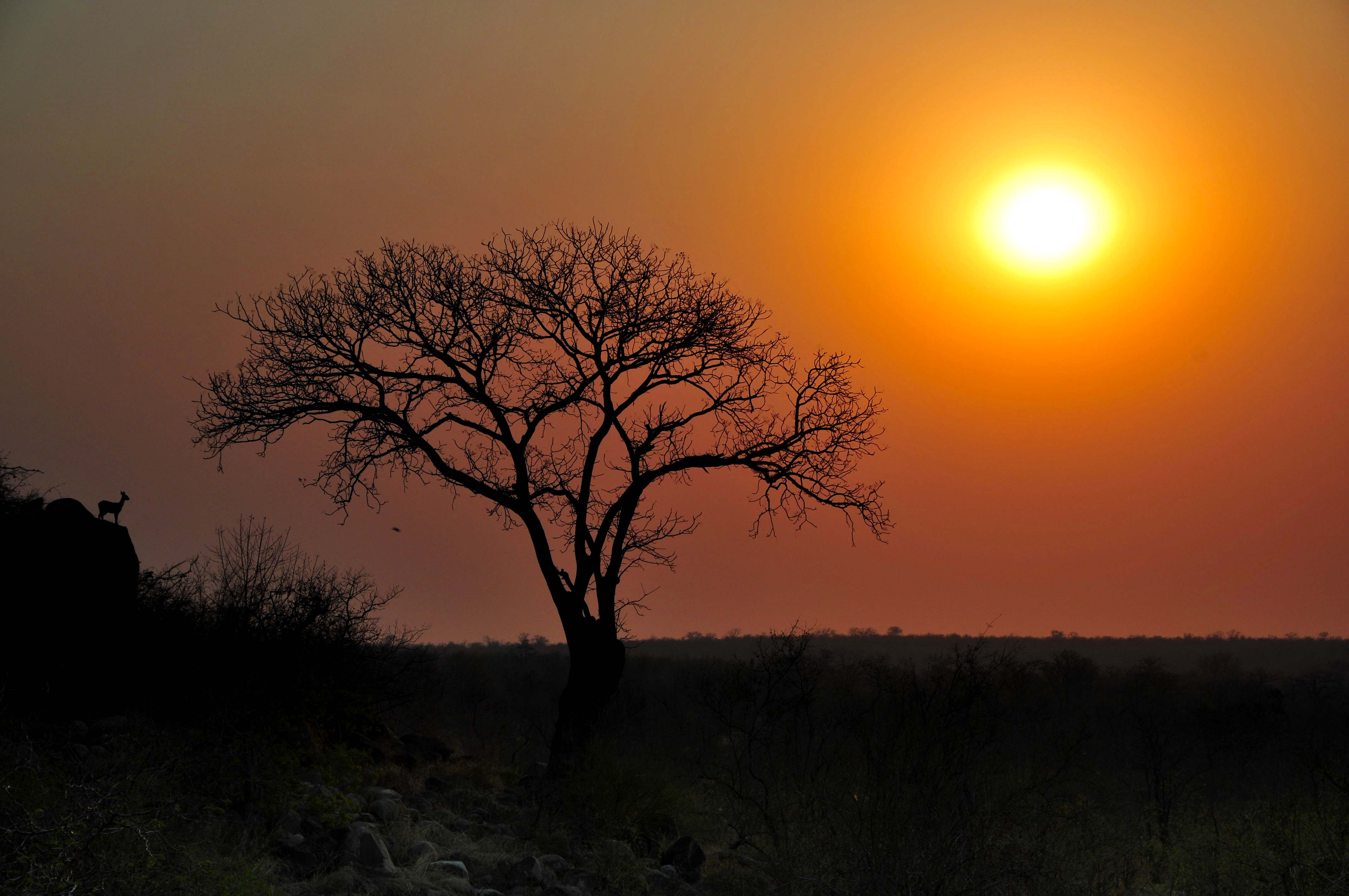 Kruger Park Sunrises and Sunsets, beautiful images of a beautiful park