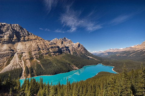 The four Visual Wilderness team members are interviewed together