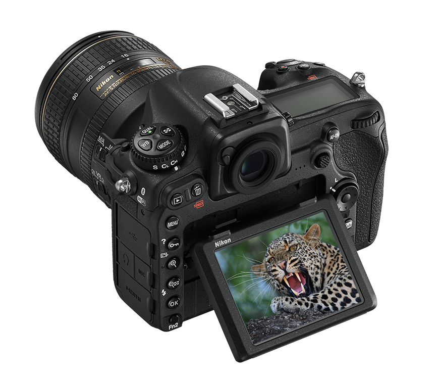 Review of the Nikon D500 for Wildlife and Bird Photography