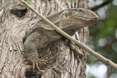 Photos from my Kruger Archives