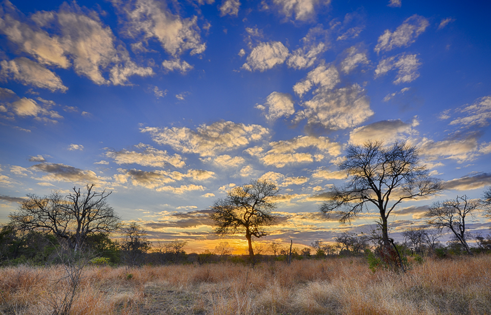  HDR Nature Photography use these tools to get some 