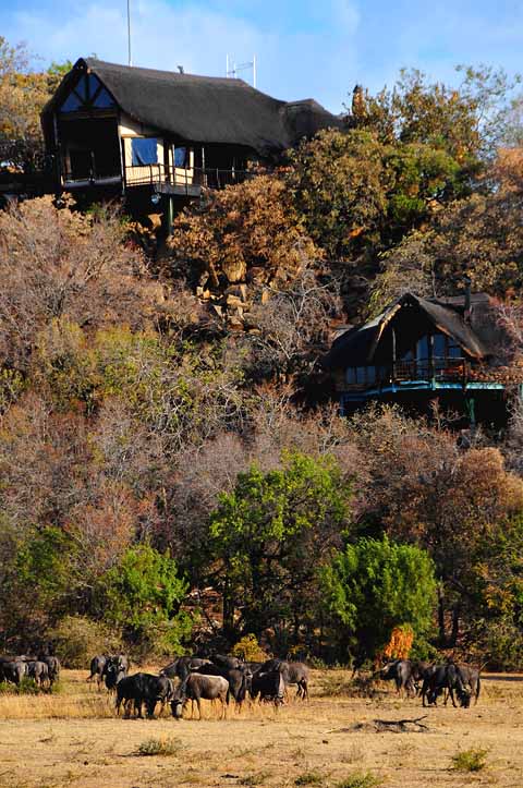 Tshukudu Bush Lodge - Crown Jewel of the Pilanesberg